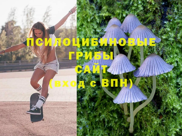 бошки Армянск