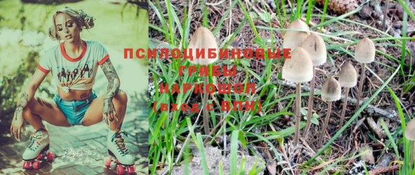 спиды Пестово